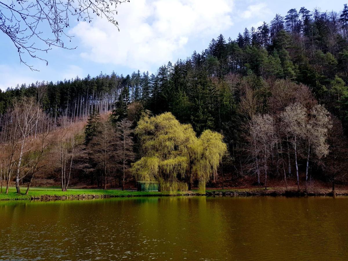 Penzion Schupplerova Vila Hostejn Exteriér fotografie