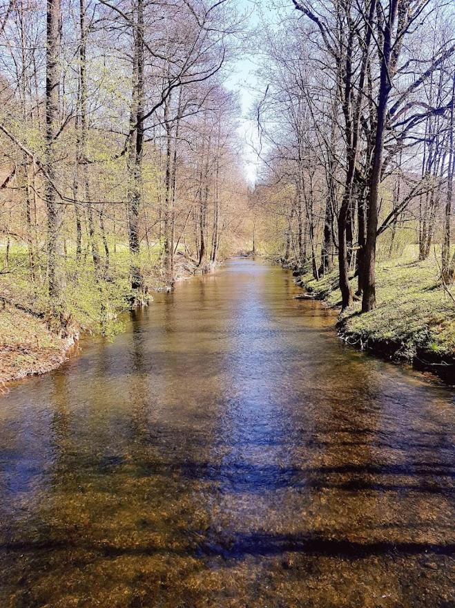 Penzion Schupplerova Vila Hostejn Exteriér fotografie