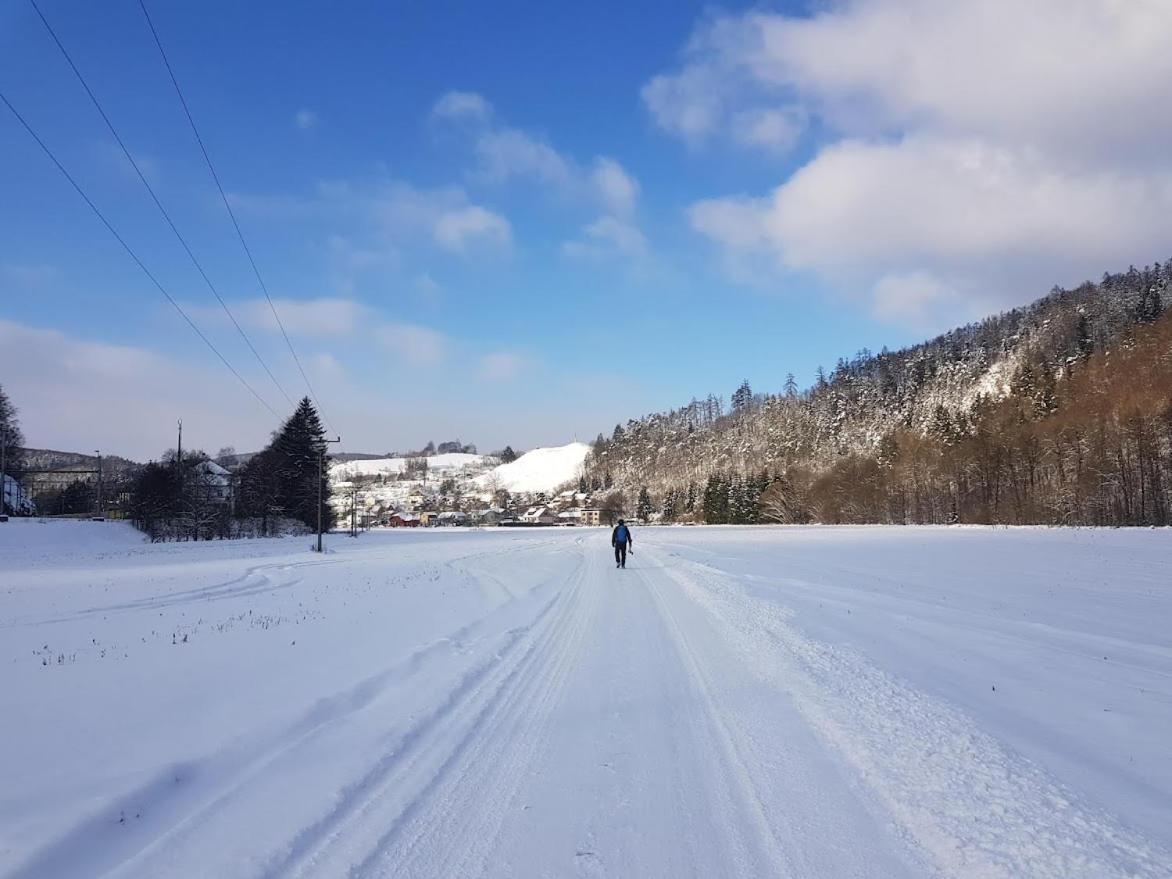 Penzion Schupplerova Vila Hostejn Exteriér fotografie