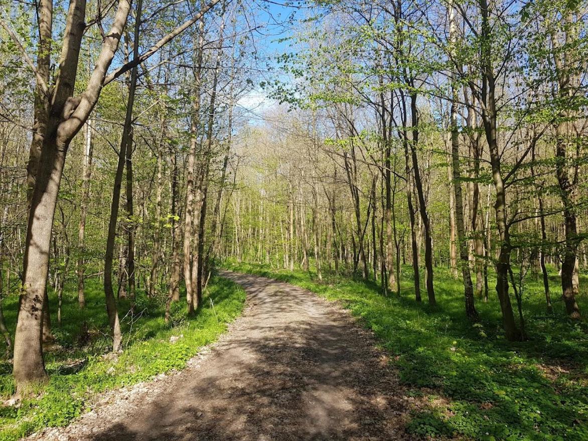 Penzion Schupplerova Vila Hostejn Exteriér fotografie