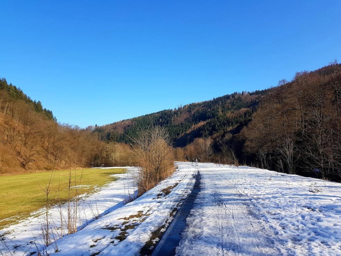 Penzion Schupplerova Vila Hostejn Exteriér fotografie