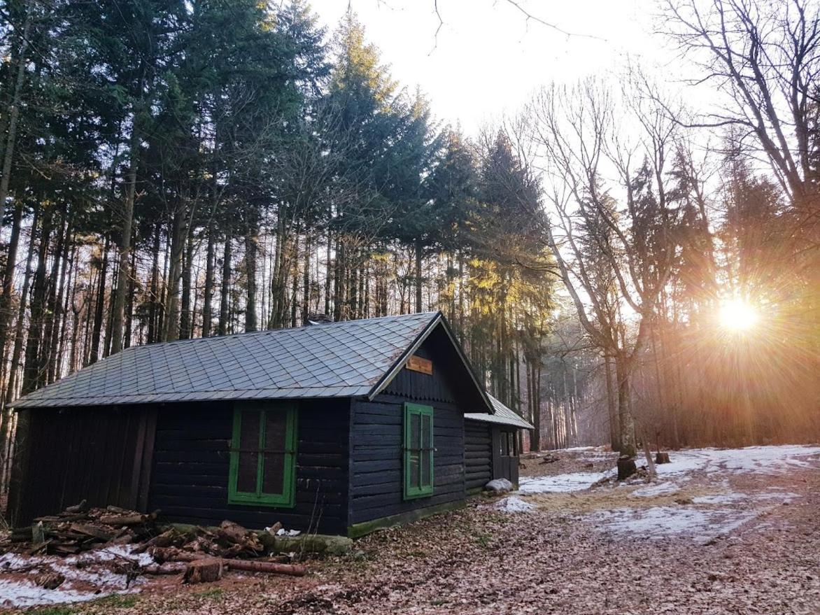 Penzion Schupplerova Vila Hostejn Exteriér fotografie